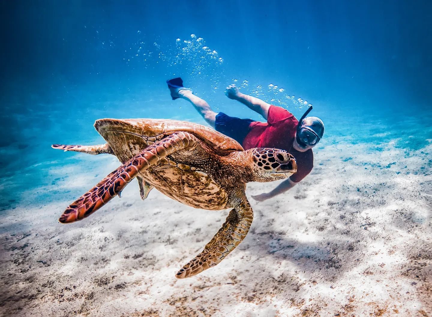 A Guide to Snorkelling and Scuba Diving Hotspots in Rarotonga